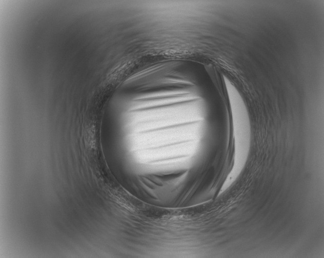 X0000056340689200509232039