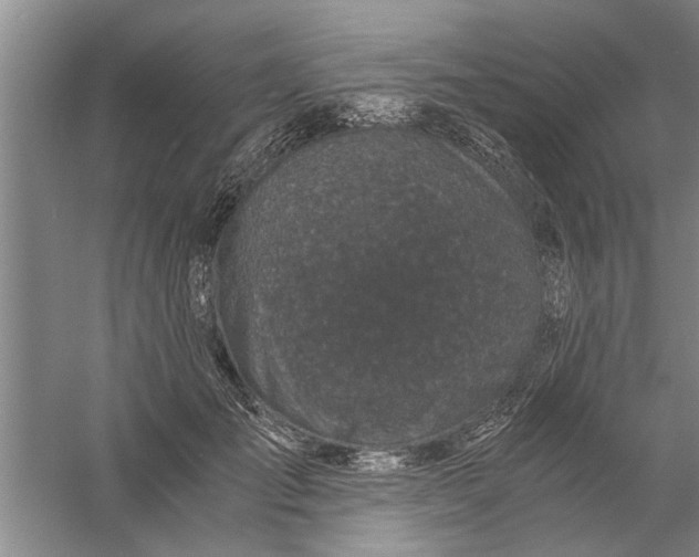 X0000056340701200509232039