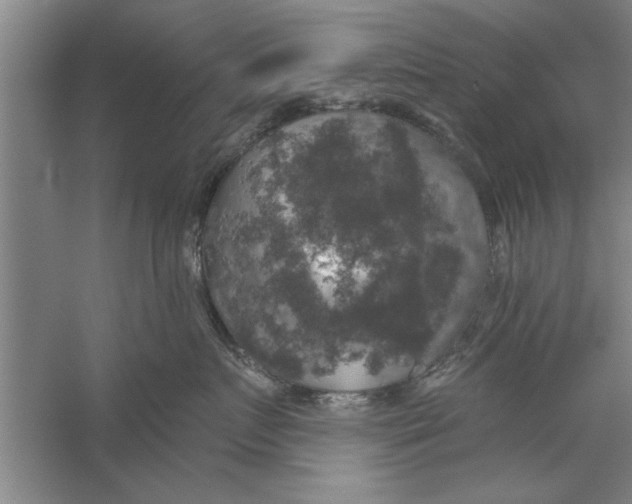 X0000056340719200509232039