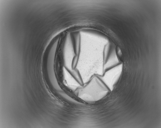 X0000056340724200509232038