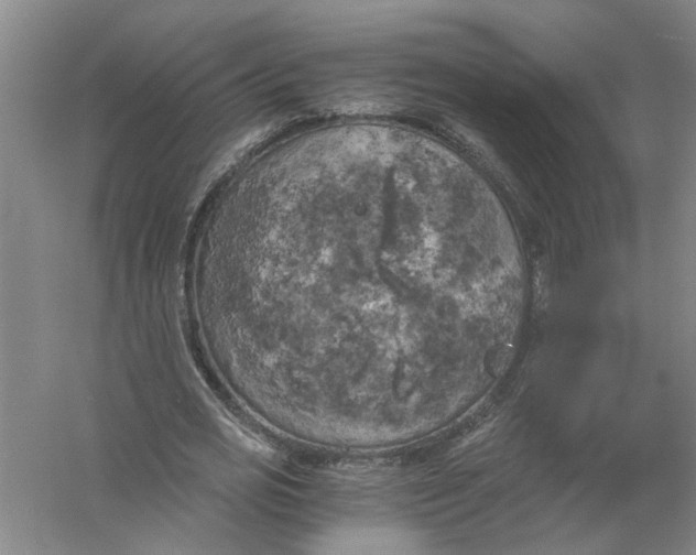 X0000056340725200509232038