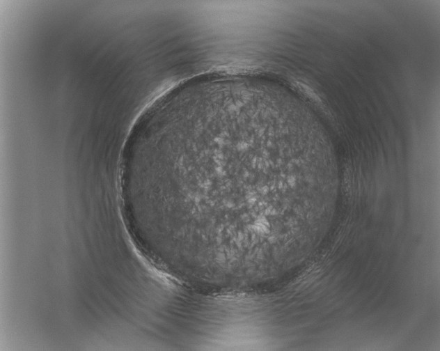 X0000056340730200509232038