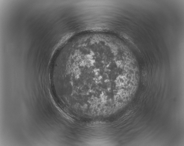 X0000056340734200509232038