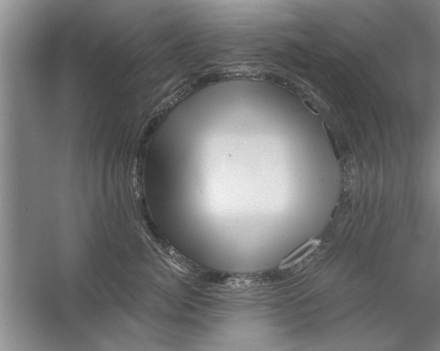 X0000056340764200509232039