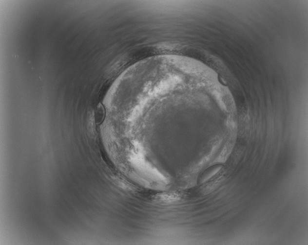 X0000056340765200509232039