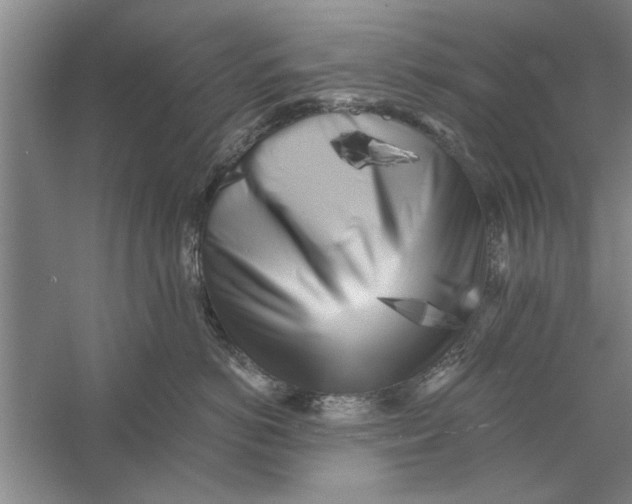X0000056340766200509232039