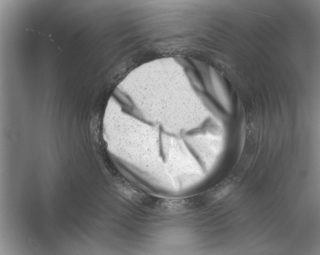X0000056340767200509232039