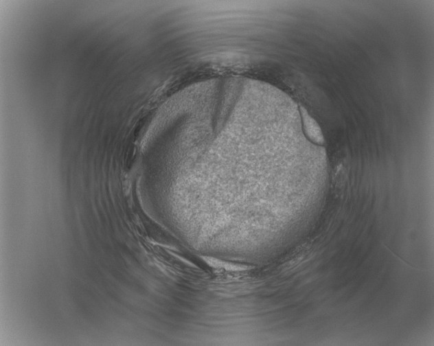 X0000056340772200509232038