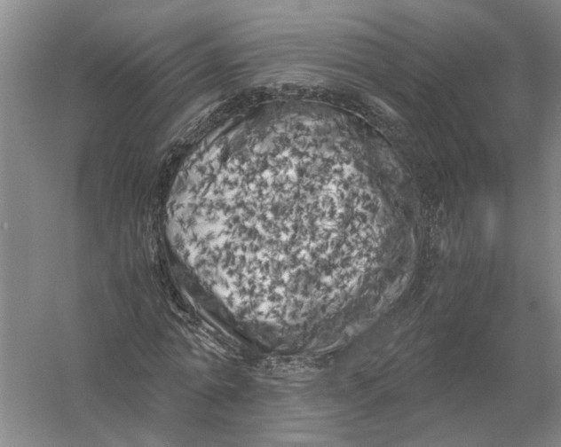 X0000056340774200509232038