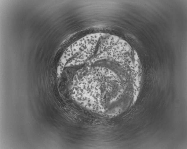 X0000056340776200509232038