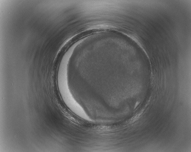 X0000056340783200509232038