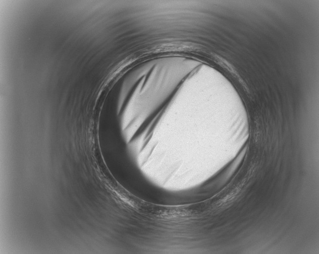 X0000056340786200509232038