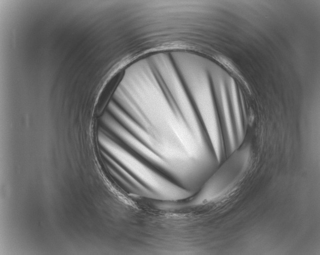 X0000056340805200509232037