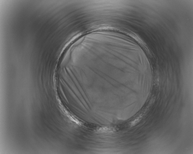 X0000056340806200509232037