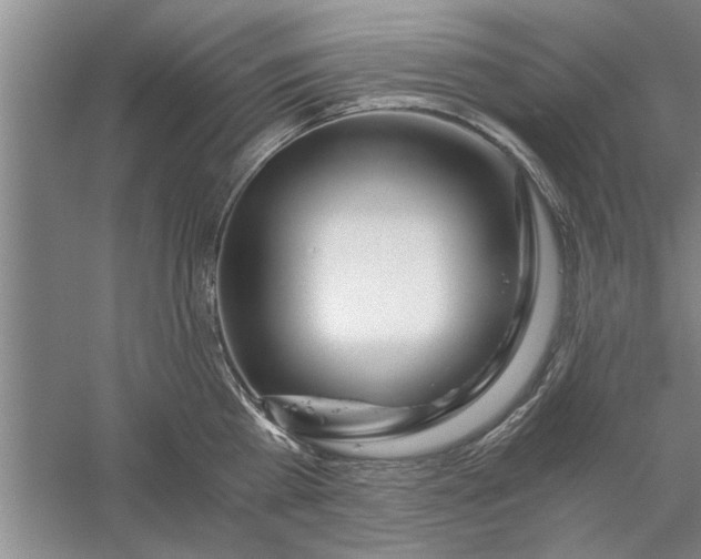 X0000056340809200509232037
