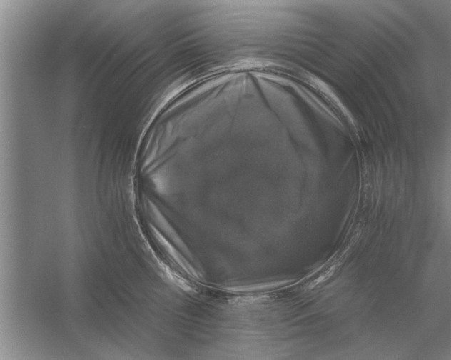 X0000056340810200509232037
