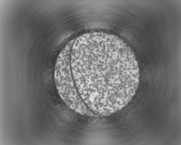 X0000056340824200509232037