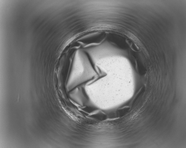 X0000056340842200509232037