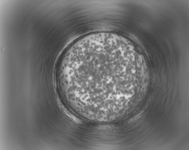 X0000056340843200509232037