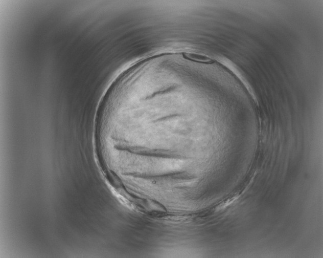 X0000056340861200509232037