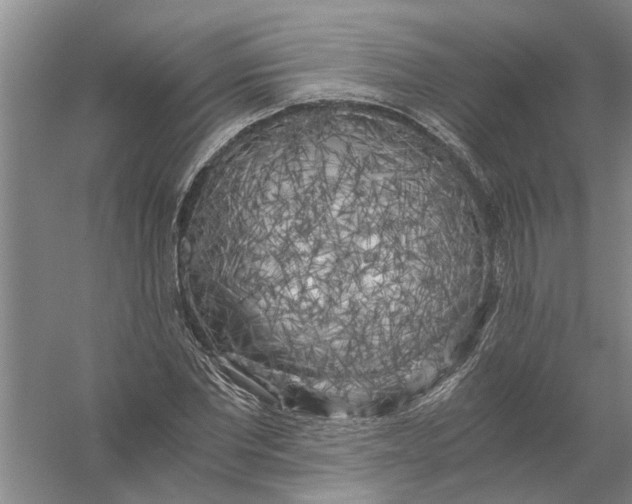 X0000056340877200509232036