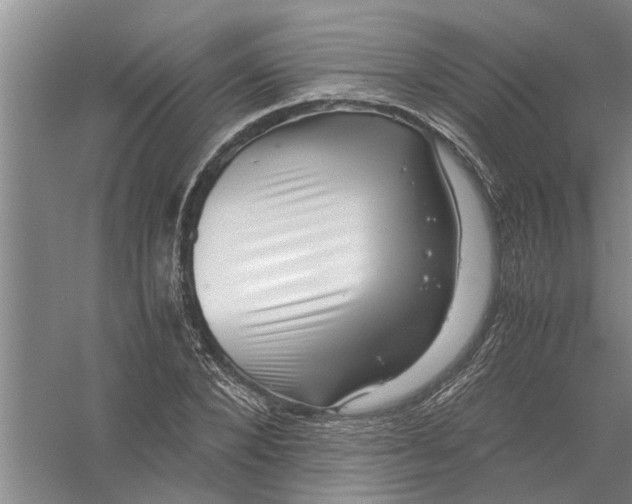 X0000056340880200509232036