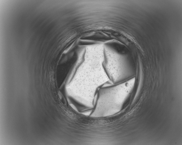 X0000056340881200509232036