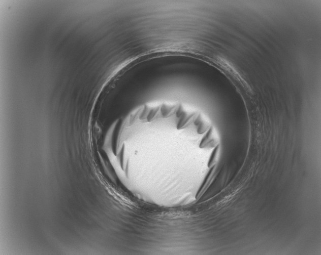 X0000056340884200509232036