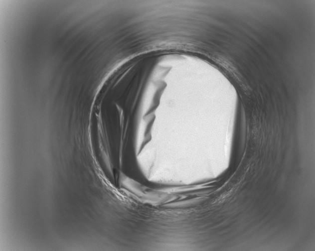 X0000056340888200509232036