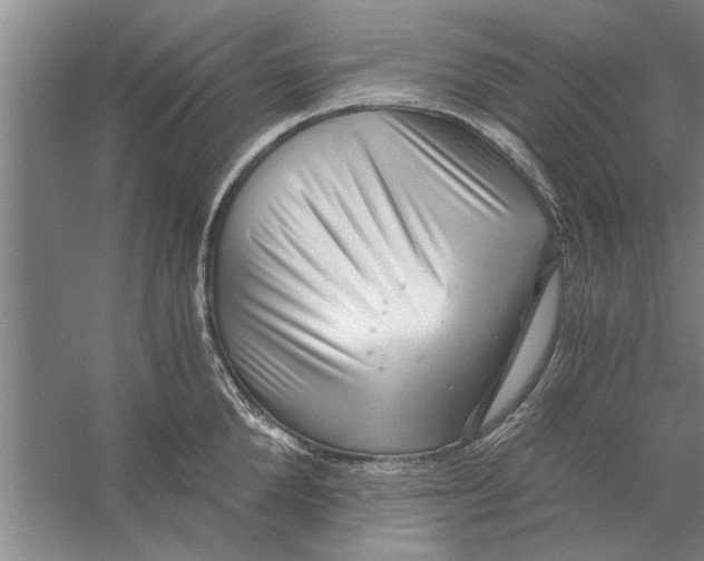 X0000056340904200509232036