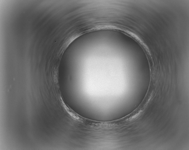 X0000056340905200509232036
