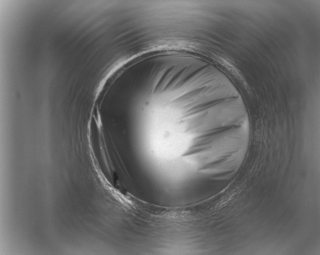 X0000056340936200509232035