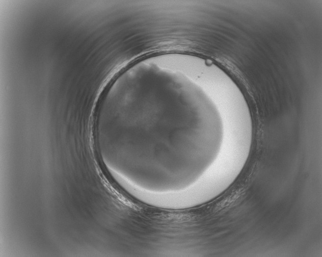 X0000056340941200509232035