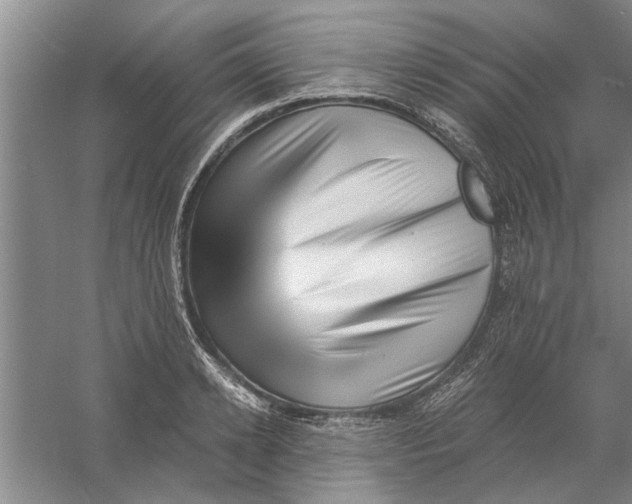 X0000056340942200509232035