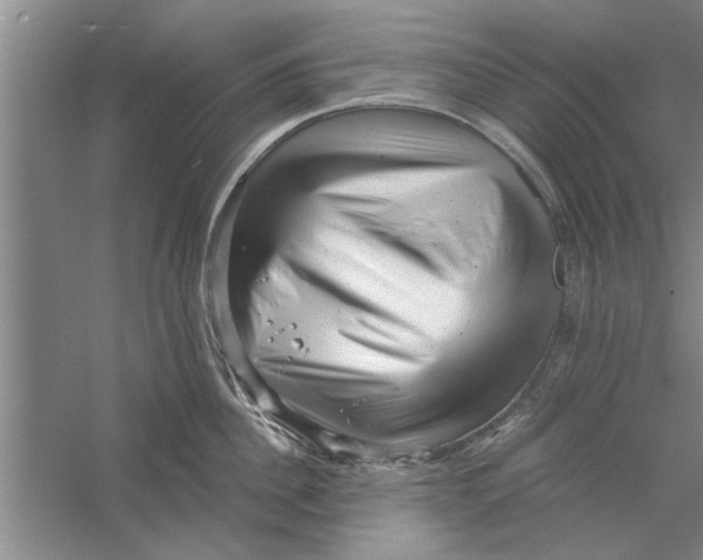 X0000056340956200509232036