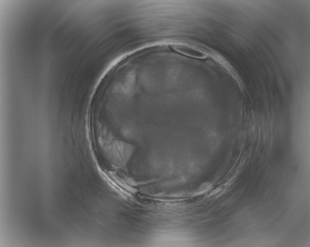 X0000056340958200509232036