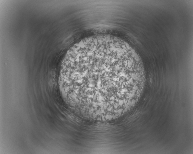 X0000056340964200509232035