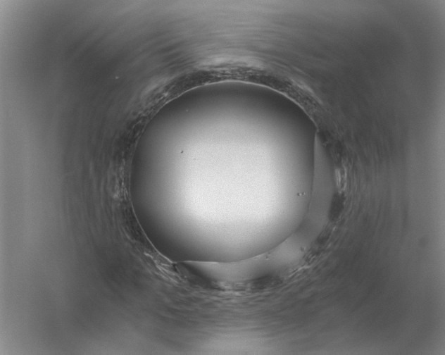 X0000056340965200509232035