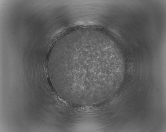 X0000056340966200509232035