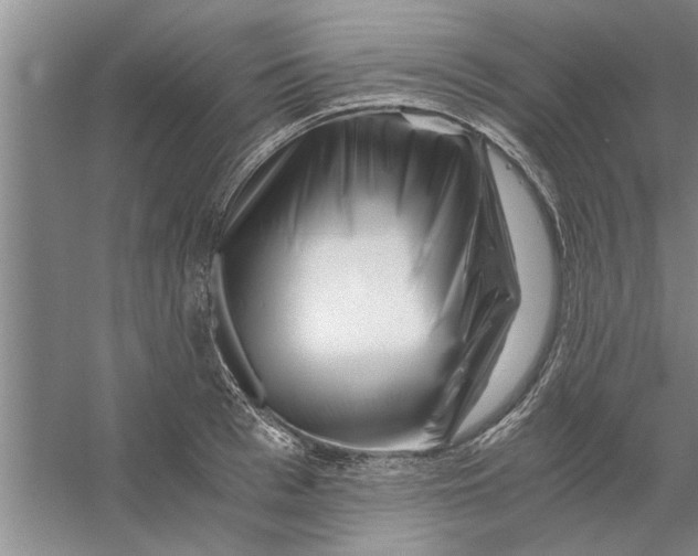 X0000056340993200509232034