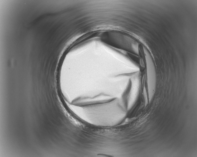 X0000056340995200509232034