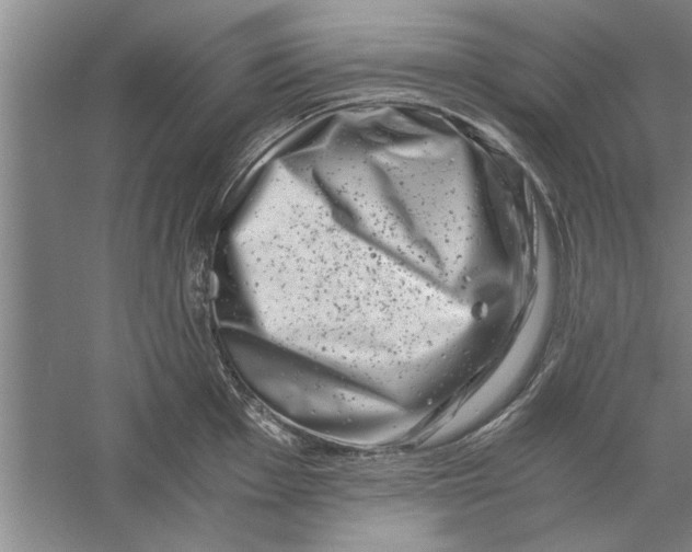 X0000056341001200509232034