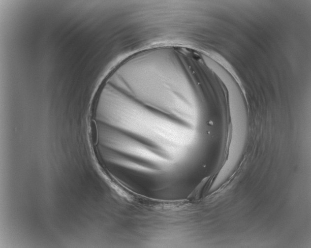 X0000056341005200509232034