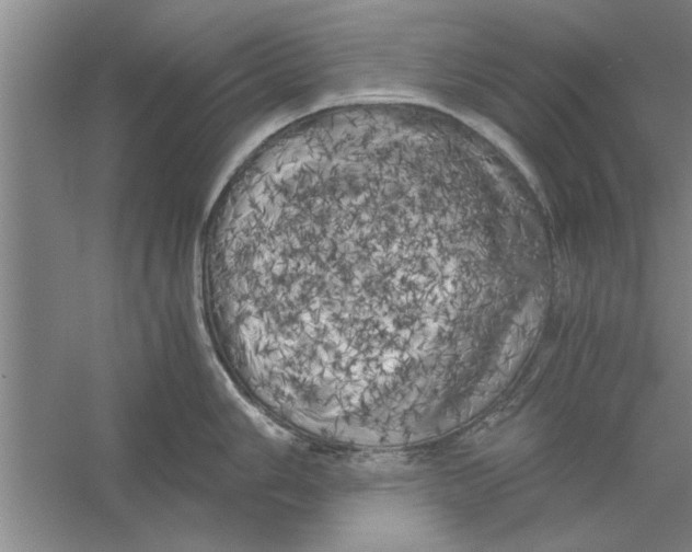 X0000056341006200509232034