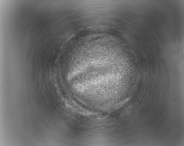 X0000056341010200509232033
