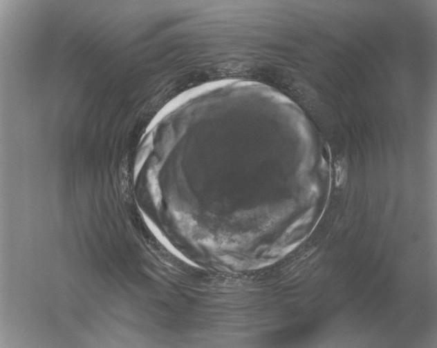 X0000056341011200509232033