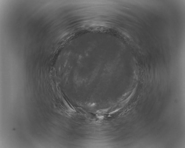 X0000056341013200509232033