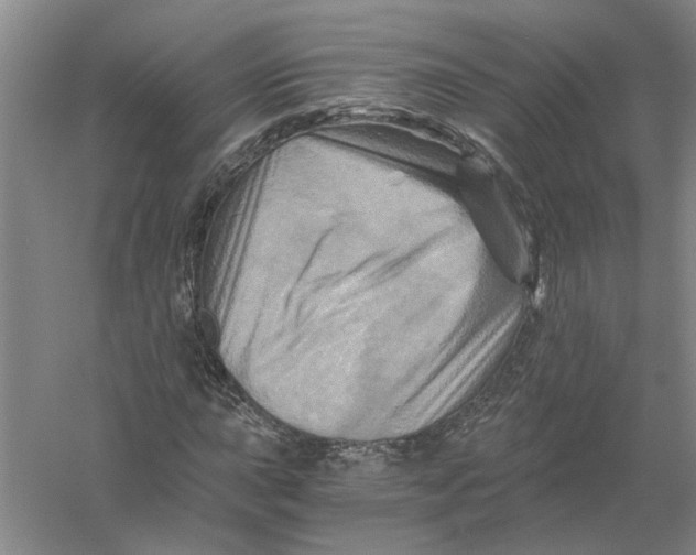 X0000056341015200509232033