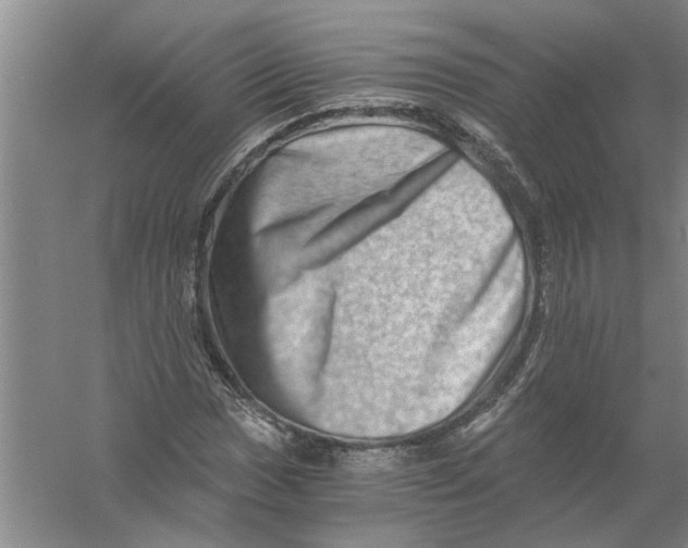 X0000056341017200509232033