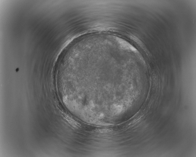 X0000056341023200509232033